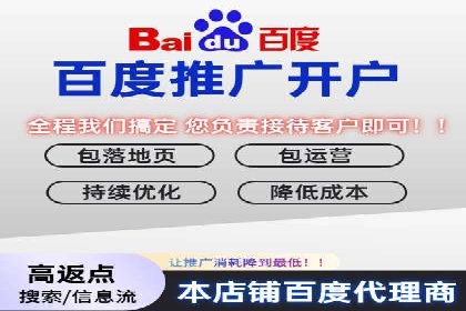百度广告竞价策略详解：某电商平台的成功案例